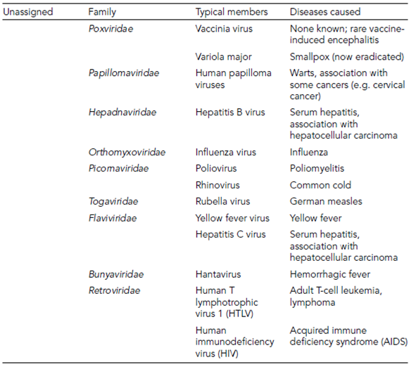 1881_Taxonomic chart of selected virus families – continued.png
